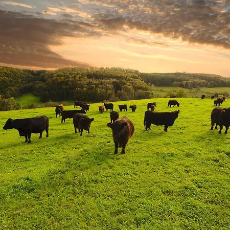 Moehringers Schwarzwald Hotel Bonndorf