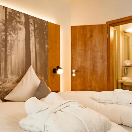Moehringers Schwarzwald ホテル 4*
