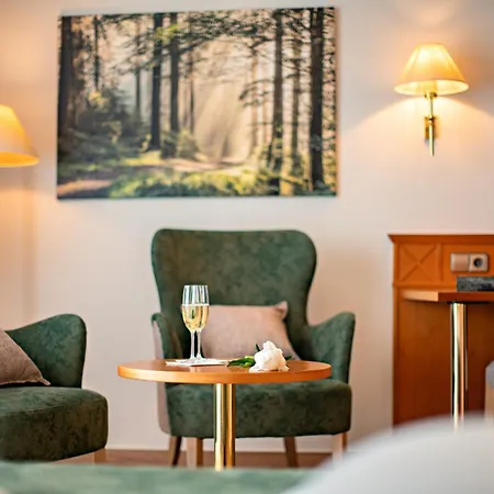 Hotell Moehringers Schwarzwald 4*
