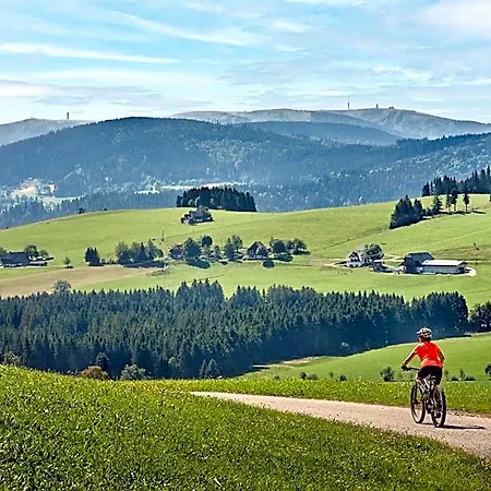Moehringers Schwarzwald Szálloda 4*