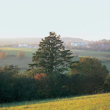Moehringers Schwarzwald ホテル