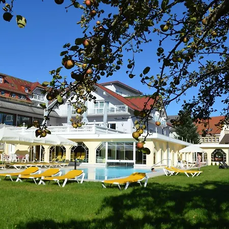 Moehringers Schwarzwald 4*